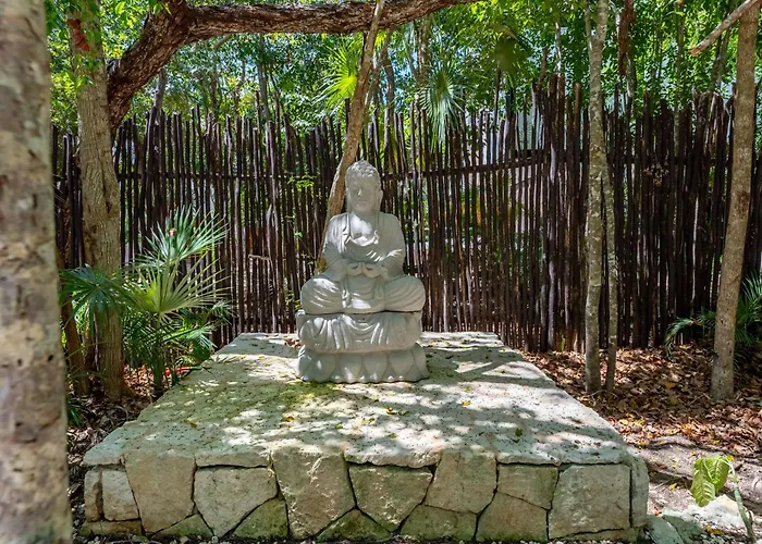 Casa & Chiit - 2 Homes With Different Shared Amenities * Tulum